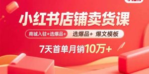 小红书店铺卖货课:商城入驻+选爆品+爆文模板,7天首单月销10万+-聊项目