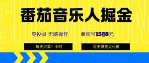 番茄音乐人掘金，单账号最高可撸1k+，可无限矩阵去做，零投入-聊项目