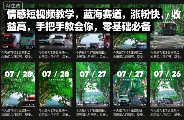 情感短视频教学，蓝海赛道，涨粉快，收益高，手把手教会你，零基础必备-聊项目