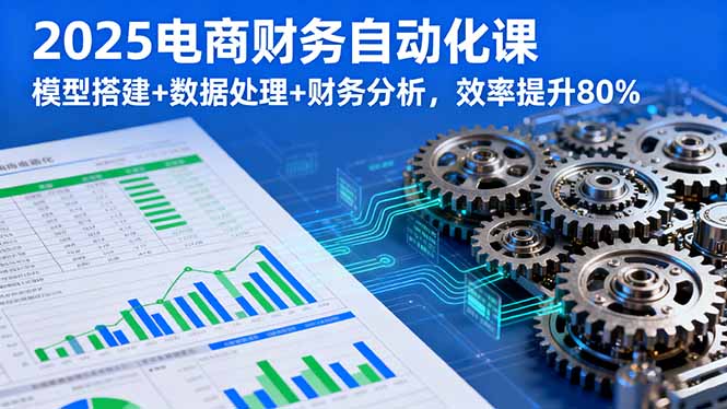 2025电商财务自动化课，模型搭建+数据处理+财务分析，效率提升80%-聊项目