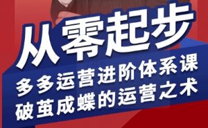 拼多多运营进阶系统课，从零起步，多多运营进阶体系课，破茧成蝶的运营之术(更新9月)-聊项目