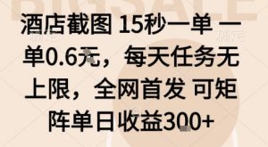 酒店截图15秒一单,一单0.6米,每天任务无上限,全网首发可矩阵单日收益3张【揭秘】-聊项目