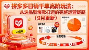 拼多多日销千单高阶玩法:从选品到爆款打造的完整运营链路(9月更新-聊项目