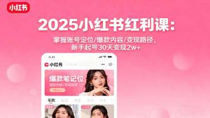 2025小红书红利课：掌握账号定位/爆款内容/变现路径，新手起号30天变现2w+-聊项目