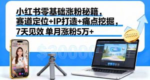 小红书零基础涨粉秘籍,赛道定位+IP打造+痛点挖掘,7天见效 单月涨粉5万+-聊项目