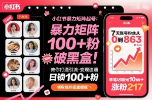 小红书暴力矩阵起号,教你打通引流-变现速通,日锁100+粉,破流量黑盒-聊项目