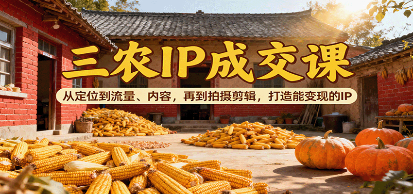 三农IP成交课：从定位到流量、内容，再到拍摄剪辑，打造能变现的IP-聊项目
