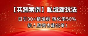 【实测案例】私域新玩法,日引30+精准粉,转化率50%,新人照做也能出单!-聊项目