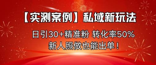 【实测案例】私域新玩法，日引30+精准粉，转化率50%，新人照做也能出单！-聊项目