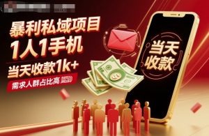 暴利私域项目1人1手机，当天收款1k+，需求人群占比高，当天就能见到钱-聊项目