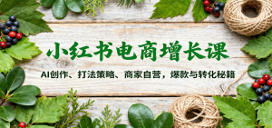 小红书电商增长课：AI创作、打法策略、商家自营，爆款与转化秘籍-聊项目