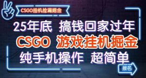 25年底搞钱回家过年，CSGO游戏挂机掘金，纯手机操作超简单-聊项目