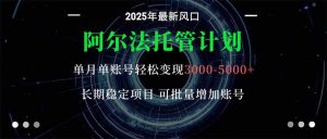 阿尔法托管计划 单账号月入3000-5000，长期稳定项目，新手小白轻松上手。-聊项目