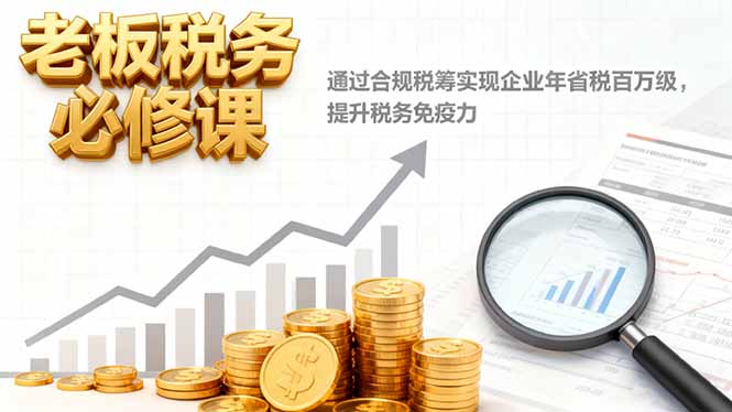 老板税务必修课，通过合规税筹实现企业年省税百万级，提升税务免疫力-聊项目