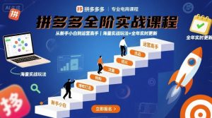 拼多多全阶实战课程,从新手小白到运营高手,海量实战玩法+全年实时更新【2025年10月更新】-聊项目