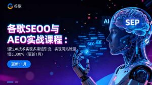 谷歌SEO与AEO实战课程：通过AI技术实现多渠道引流，实现网站流量增长300%-聊项目