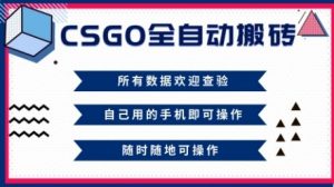 CSGO全自动搬砖，年底钱回家好项目，当天可拿到结果，新手小白轻松月入1W+【揭秘】-聊项目