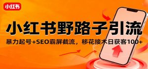 小红书野路子引流，暴力起号+SEO霸屏截流，移花接木日获客100+-聊项目