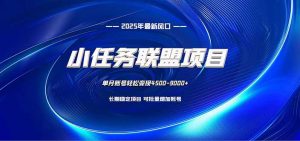 小任务联盟项目：一台电脑每天只需10分钟，轻松简单稳定-聊项目