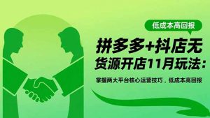 拼多多+抖店无货源开店11月玩法:掌握两大平台核心运营技巧,低成本高回报-聊项目