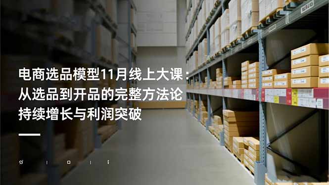 电商选品模型11月线上大课：从选品到开品的完整方法论 持续增长与利润突破-聊项目