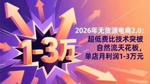2026年无货源电商2.0【更新】：超低费比技术突破自然流天花板，单店月利润1-3万元-聊项目