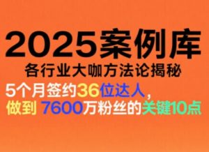 2025案例库，收录各行业大咖的方法论，各行业大咖方法论揭秘-聊项目