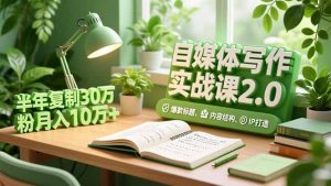 自媒体写作实战课2.0,爆款标题、内容结构、IP打造,半年复制30万粉月入10万+-聊项目