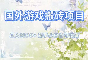 国外游戏全自动搬砖项目，日入10张，新手小白也可做，项目红利期，先搞先吃肉【揭秘】-聊项目