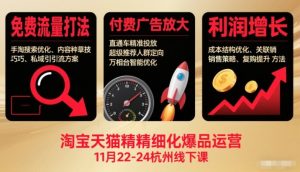 淘宝天猫精细化爆品运营11月22-24杭州线下课，免费流量打法+付费广告放大+利润增长(音频+文档)-聊项目