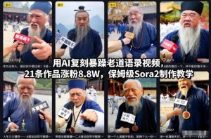 用AI复刻暴躁老道语录视频，21条作品涨粉8.8W，保姆级Sora2制作教学-聊项目