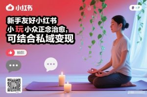 新手友好小红书小众正念治愈，玩法简单，可结合私域变现-聊项目