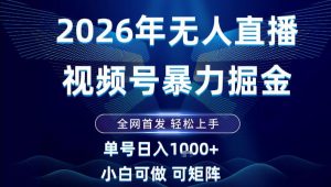 2026最新视频号无人直播掘金,全网首发,小白可以玩,长期稳定日入1k+【揭秘】-聊项目