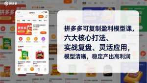 拼多多可复制盈利模型课,六大核心打法、实战复盘、灵活应用,模型清晰,稳定产出高利润-聊项目