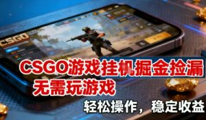CSGO游戏挂G掘金捡漏,不需要玩游戏,操作简单,收益稳定【揭秘】-聊项目