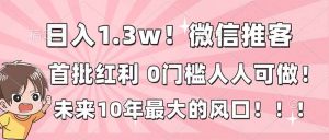 日入1.3w!微信推客,首批红利,未来10年最大的风口,0门槛,人人可做!-聊项目
