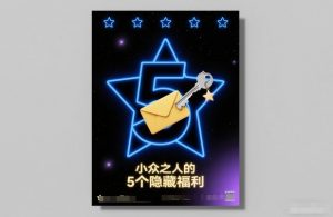 付费文章：小众之人的5个隐藏福利-聊项目