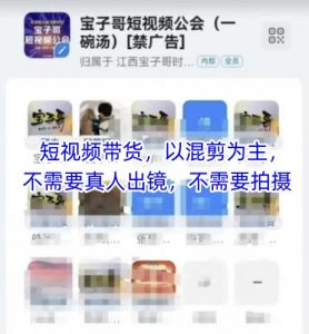 宝子哥头部团队短视频带货,以混剪为主,不需要真人出镜,不需要拍摄【更新12月】-聊项目