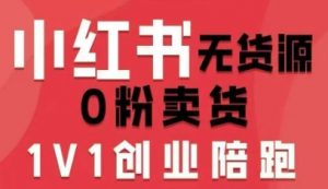 小红书无货源0粉电商课,开店准备、选品策略、笔记撰写、视频剪辑、数据分析、账号打造、资料文档(更新)-聊项目
