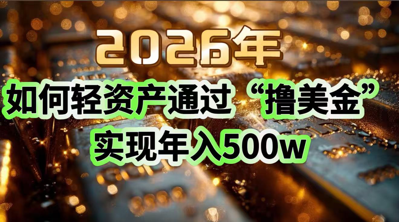 2026年如何轻资产通过“撸美金”实现年入500w-聊项目