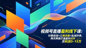 视频号直播盈利线下课:付费投流+三频共振+私域升单,两天两夜打通盈利闭环,月利润5-15万-聊项目