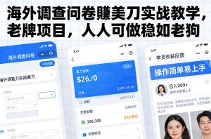 海外调查问卷賺美刀实战教学，老牌项目，人人可做稳如老狗-聊项目