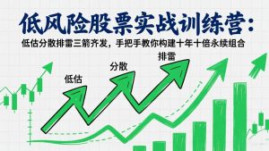 低风险股票实战训练营:低估分散排雷三箭齐发,手把手教你构建十年十倍永续组合-聊项目