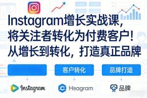 Instagram增长实战课,将关注者转化为付费客户!从增长到转化,打造真正品牌(双语字幕)-聊项目