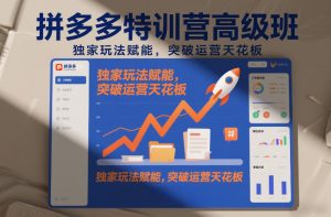 拼多多特训营高阶班,独家玩法赋能,突破运营天花板(更新26年3月19日)-聊项目