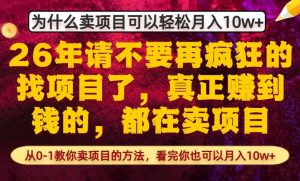 为什么真正賺到钱的都在卖项目，从0-1教你卖项目的方法，看完你也可以月入10w+【揭秘】-聊项目