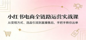 小红书电商全链路运营实战课：从变现方式、选品引流到直播售后，手把手教你出单-聊项目