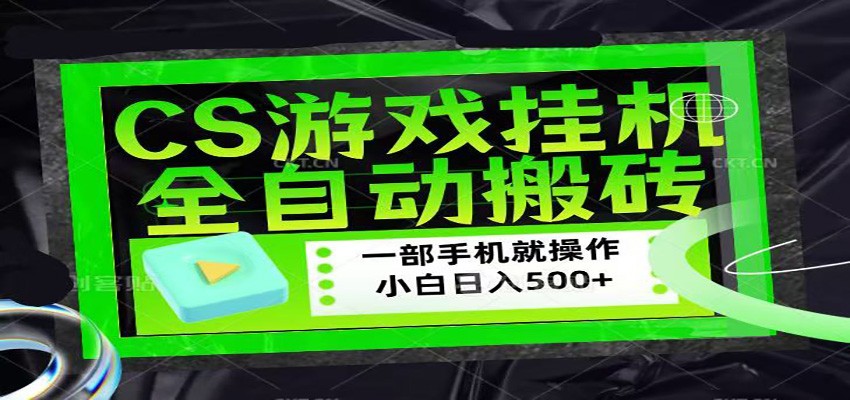 CSGO游戏挂机捡漏搬砖，超稳定的项目，带领1000+小白实现日入500+-聊项目