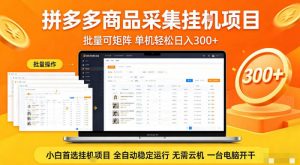 拼多多商品信息全自动采集项目,批量可矩阵,单机轻松日入300+,无需云机一台电脑开干【揭秘】-聊项目