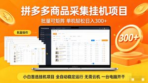 拼多多商品采集全自动挂机玩法 批量可矩阵 单机轻松日入300+-聊项目